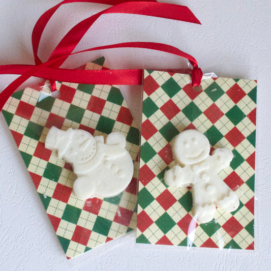 Odorizant pentru dulap (ghimbir și portocale)